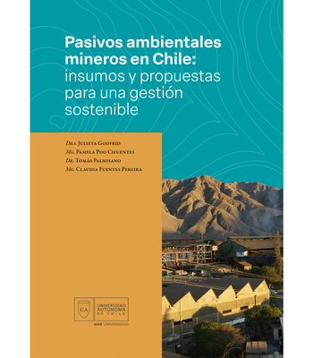 Pasivos ambientales mineros en Chile insumos y propuestas para una gestión sostenible