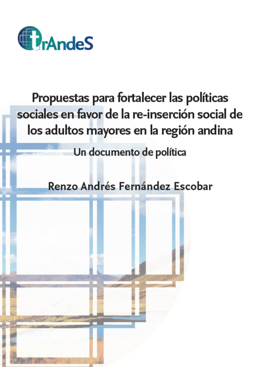 Policy brief_Renzo Fernandez