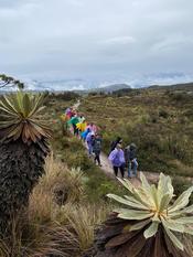 WhatsApp Image 2025-09-20 at 3.10.06 PM (3)