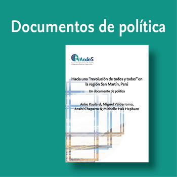 Serie Documentos de política trAndeS
